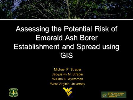 Assessing the Potential Risk of Emerald Ash Borer Establishment and Spread using GIS Michael P. Strager Jacquelyn M. Strager William D. Ayersman West Virginia.
