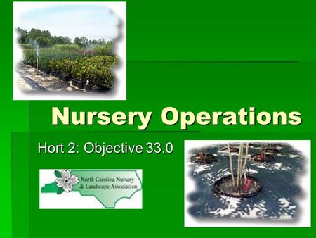 Nursery Operations Hort 2: Objective 33.0.
