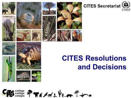 1 CITES Resolutions and Decisions CITES Secretariat.