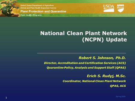 United States Department of Agriculture Animal and Plant Health Inspection Service Plant Protection and Quarantine Spring 2009 1 National Clean Plant Network.