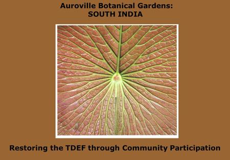Auroville Botanical Gardens: SOUTH INDIA Restoring the TDEF through Community Participation.