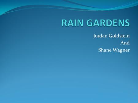 Jordan Goldstein And Shane Wagner. A rain garden is… A Filter- Rain Gardens filter runoff water. A Refrigerator- water that comes off impervious surfaces.
