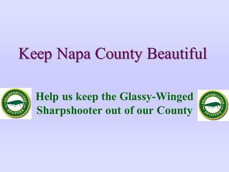 Keep Napa County Beautiful Help us keep the Glassy-Winged Sharpshooter out of our County.