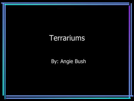 Terrariums By: Angie Bush.