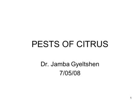 1 PESTS OF CITRUS Dr. Jamba Gyeltshen 7/05/08. 2 Common pests Chinese Fruit Fly - Bactrocera minax The trunk borer - Anoplophora sp Citrus Shield Bug.