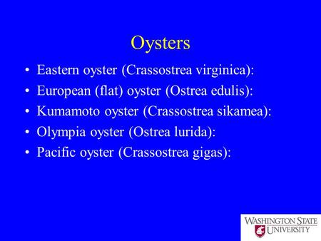 Oysters Eastern oyster (Crassostrea virginica): European (flat) oyster (Ostrea edulis): Kumamoto oyster (Crassostrea sikamea): Olympia oyster (Ostrea lurida):