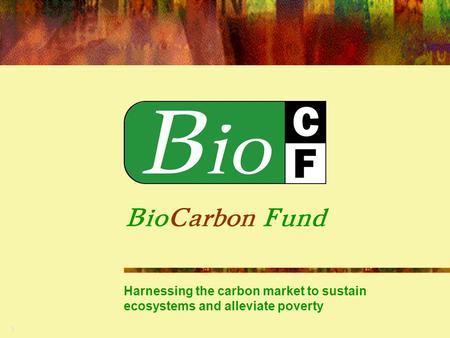 1 BioCarbon Fund Harnessing the carbon market to sustain ecosystems and alleviate poverty.
