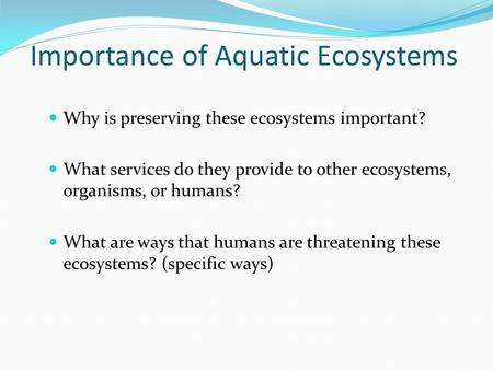 Importance of Aquatic Ecosystems Why is preserving these ecosystems important? What services do they provide to other ecosystems, organisms, or humans?