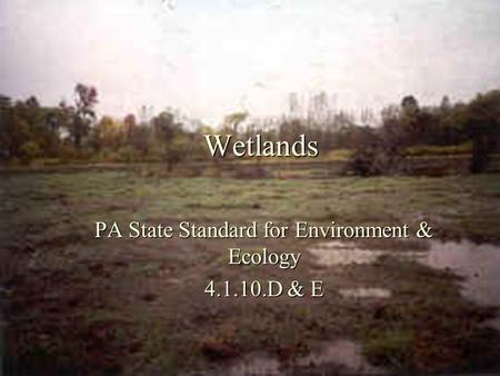 Wetlands PA State Standard for Environment & Ecology 4.1.10.D & E.