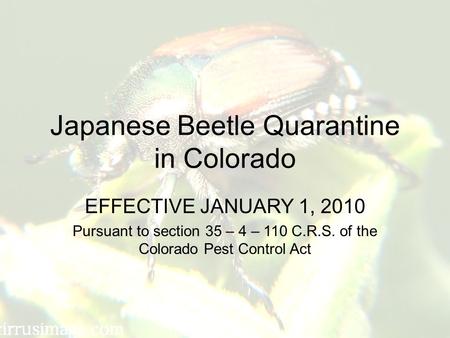 Japanese Beetle Quarantine in Colorado EFFECTIVE JANUARY 1, 2010 Pursuant to section 35 – 4 – 110 C.R.S. of the Colorado Pest Control Act.