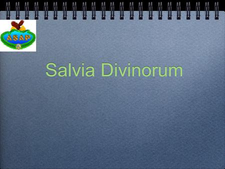 Salvia Divinorum. Learning Objectives Terminal Learning Objective: The unit commander will become familiar with Salvia Divinorum and be able to determine.
