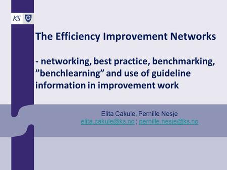 The Efficiency Improvement Networks - networking, best practice, benchmarking, ”benchlearning” and use of guideline information in improvement work Elita.