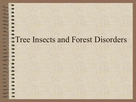 Tree Insects and Forest Disorders