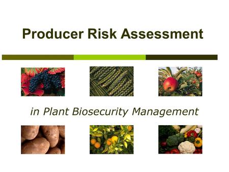 Producer Risk Assessment in Plant Biosecurity Management.