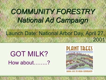 COMMUNITY FORESTRY National Ad Campaign GOT MILK? How about……..? Launch Date: National Arbor Day, April 27, 2001.