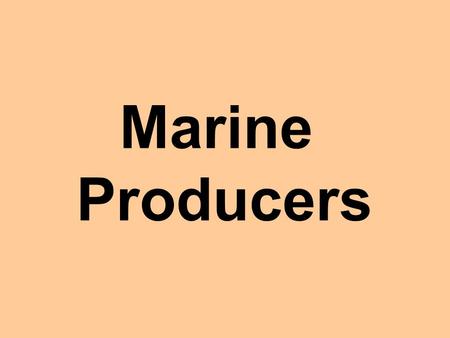 Marine Producers What do they look like? Look at the following slides and see if any of them pictures are familiar to you from your experiences at the.
