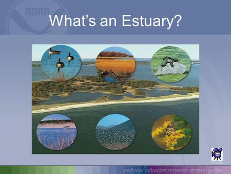 What’s an Estuary?.