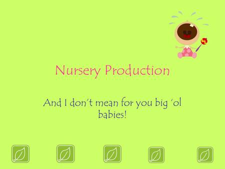 Nursery Production And I don’t mean for you big ‘ol babies!