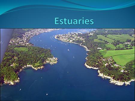 What is an estuary? An estuary is a partially enclosed body of water where two different bodies of water meet and mix (e.g. fresh water from rivers or.
