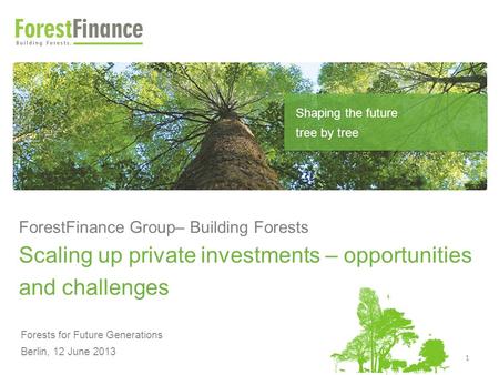 ForestFinance Group– Building Forests Scaling up private investments – opportunities and challenges Forests for Future Generations Berlin, 12 June 2013.