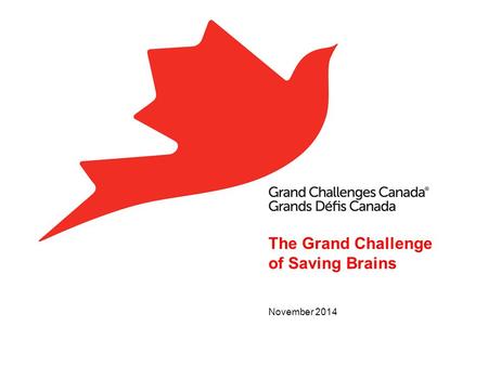 The Grand Challenge of Saving Brains November 2014.