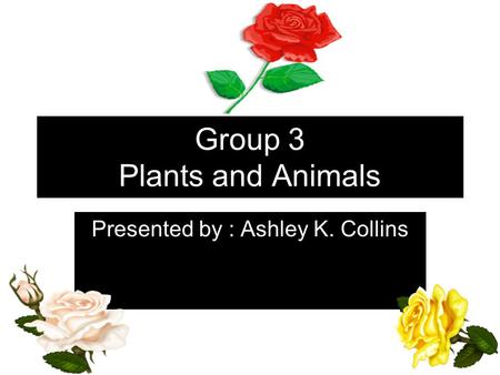 Group 3 Plants and Animals Presented by : Ashley K. Collins.