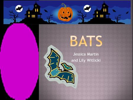 Jessica Martin and Lily Witlicki Bats are amazing animals. They are mammals. Did you know that bats are the only mammals that can fly? A mammal is warm-blooded,