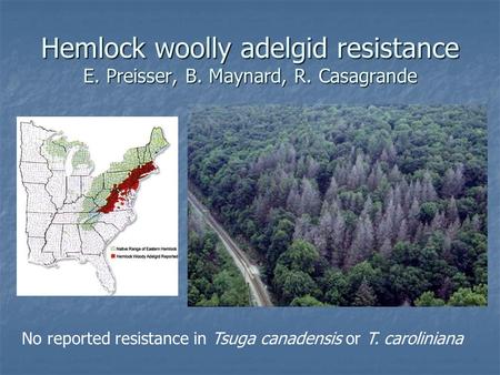 Hemlock woolly adelgid resistance E. Preisser, B. Maynard, R
