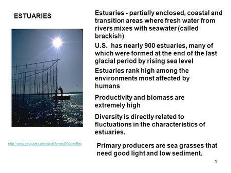 Estuaries rank high among the environments most affected by humans