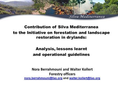 Contribution of Silva Mediterranean Contribution of Silva Mediterranea to the Initiative on forestation and landscape restoration in drylands: Analysis,