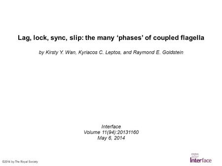 Lag, lock, sync, slip: the many ‘phases’ of coupled flagella by Kirsty Y. Wan, Kyriacos C. Leptos, and Raymond E. Goldstein Interface Volume 11(94):20131160.