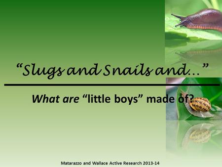 “Slugs and Snails and…” Matarazzo and Wallace Active Research 2013-14 What are “little boys” made of?