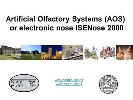 Artificial Olfactory Systems (AOS) or electronic nose ISENose 2000 www.soatec.unipr.it www.ssmg.unipr.it.