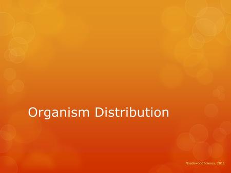 Organism Distribution Noadswood Science, 2011. Organism Distribution  To understand how changes in the environment affect the distribution of organisms.