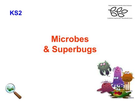 KS2 Microbes & Superbugs.