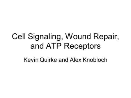 Cell Signaling, Wound Repair, and ATP Receptors Kevin Quirke and Alex Knobloch.