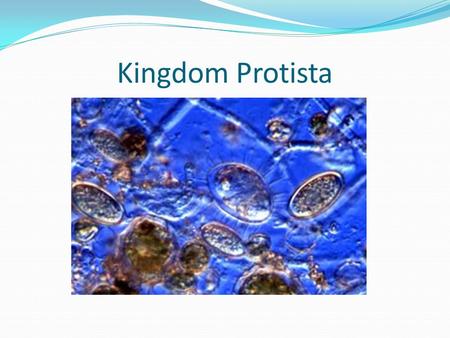 Kingdom Protista. General Characteristics Most are single-celled All are eukaryotic Come in all shapes, sizes and colours Microscopic Classified together.