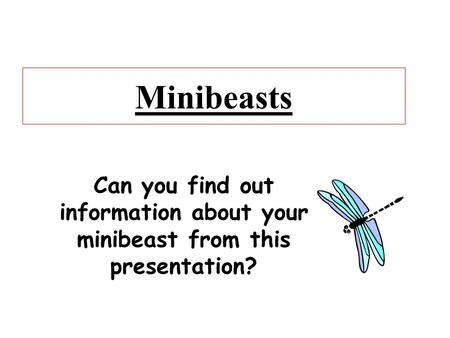 Minibeasts Can you find out information about your minibeast from this presentation?