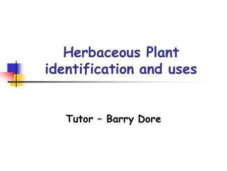 Herbaceous Plant identification and uses Tutor – Barry Dore.