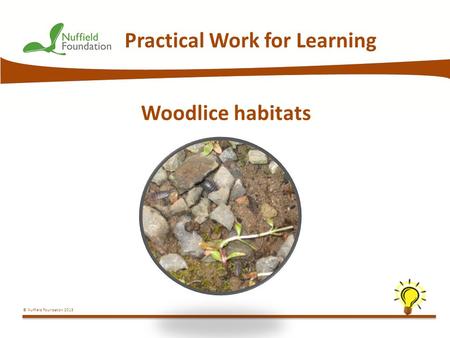© Nuffield Foundation 2013 Practical Work for Learning Woodlice habitats.