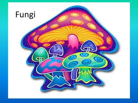 Fungi Fungi 7th Grade Biology.