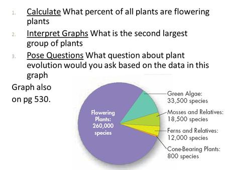 Calculate What percent of all plants are flowering  plants