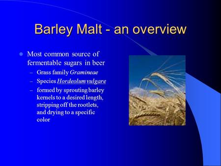 Barley Malt - an overview