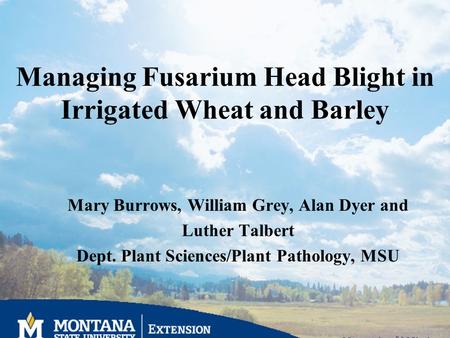 Managing Fusarium Head Blight in Irrigated Wheat and Barley Mary Burrows, William Grey, Alan Dyer and Luther Talbert Dept. Plant Sciences/Plant Pathology,