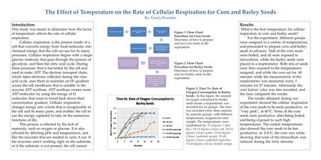 Introduction: This study was meant to determine how the factor of temperature affects the rate of cellular respiration. Cellular respiration is the process.