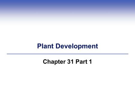 Plant Development Chapter 31 Part 1.