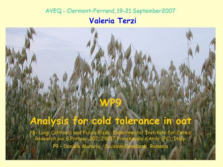 WP9 Analysis for cold tolerance in oat P8- Luigi Cattivelli and Fulvia Rizza, Experimental Institute for Cereal Research,via S.Protaso 302, 29017 Fiorenzuola.