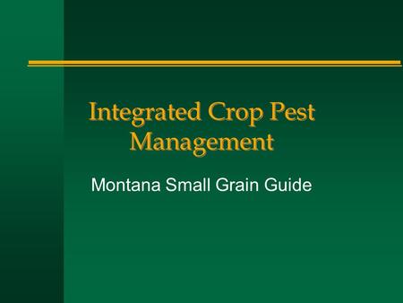 Integrated Crop Pest Management Montana Small Grain Guide.