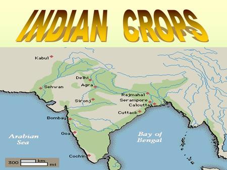 Indian is an agricultural country. Most of her people are farmers. They produce generally three classes of crops, such as food- crops, commercial crops.