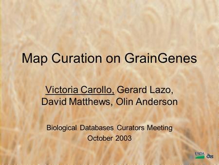 Map Curation on GrainGenes Victoria Carollo, Gerard Lazo, David Matthews, Olin Anderson Biological Databases Curators Meeting October 2003.